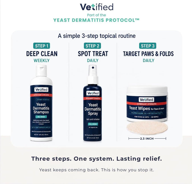 Yeast Wipes for Dogs & Cats (Veterinary Strength) Paws, Skin Folds & Odor – Chlorhexidine + Ketoconazole Antifungal Antibacterial Wipes