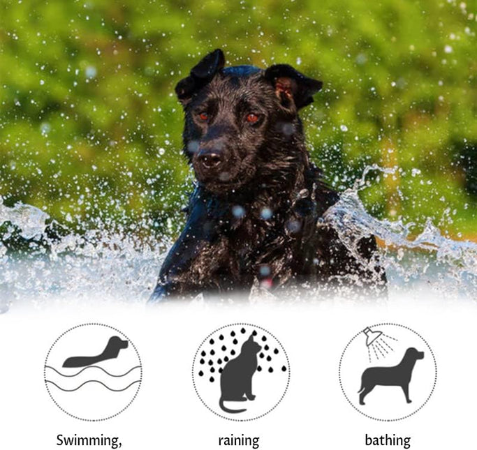 Calming Collar for Dogs