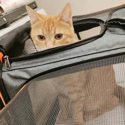 2 Sides Travel Expandable Pet Carrier Bag (Large), Airline Approved Soft-Sided Cat Carrier