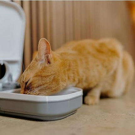 Cat Mate C100 Single Meal Automatic Pet Feeder for Cats and Small Dogs (no ice Pack)