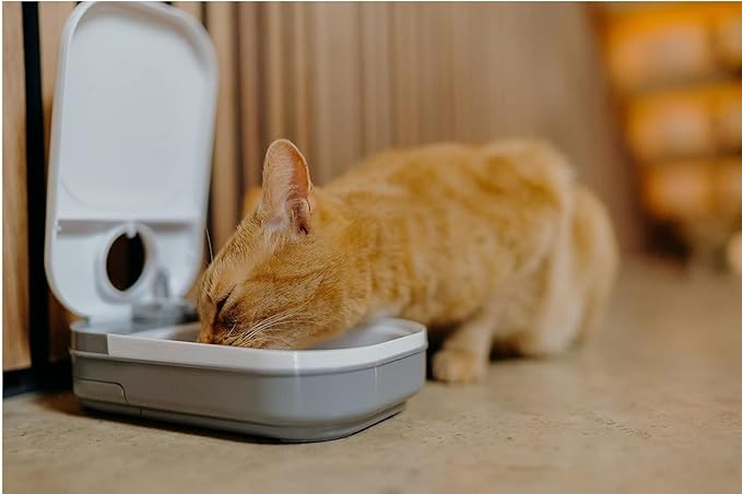 Cat Mate C100 Single Meal Automatic Pet Feeder for Cats and Small Dogs (no ice Pack)