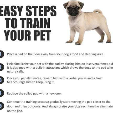 BV Pet Potty Training Pads for Dogs Puppy Pads, Pee Pads, Quick Absorb, 22" x 22" Training Pad, 100 Count Dog Pee Pads, Doggie Pads, Disposable Puppy Pee Pads