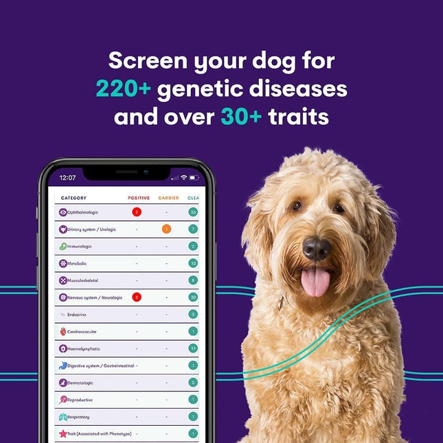 ORIVET GenoPet Plus Dog DNA Test Kit | 365+ Breed Identification & 330+ Genetic Health Conditions Included | Personalized Life Plan | At-Home Cheek Swab | Results in Approximately 3–5 Weeks