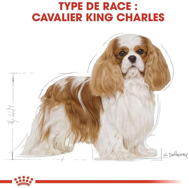Royal Canin Cavalier King Charles Adult Dry Dog Food 7.5 Kg