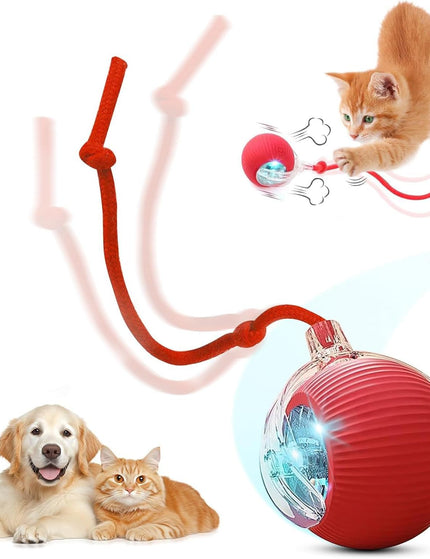 Collection image for: Dog