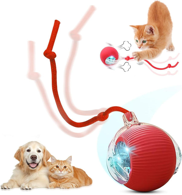Smart Chase Teaser Ball