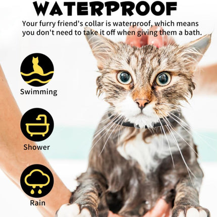 Cat Flea and Tick Collar | Flea & Tick Prevention | Pack of 4