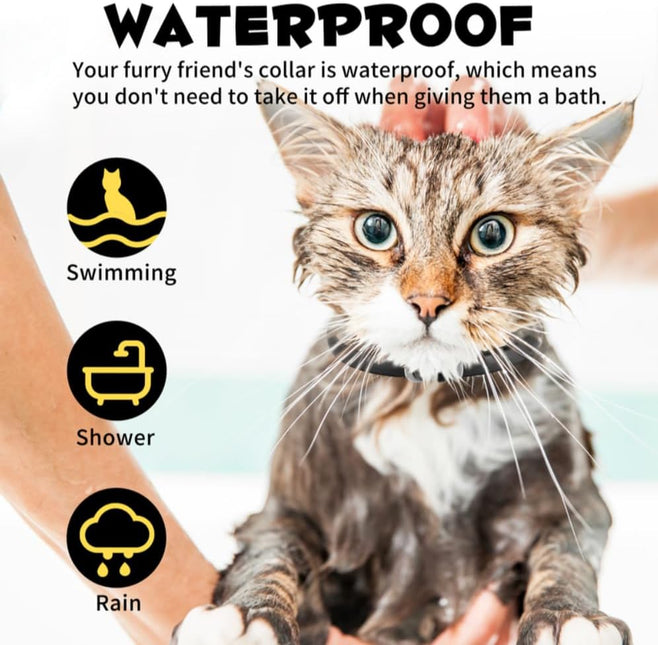 Cat Flea and Tick Collar | Flea & Tick Prevention | Pack of 4