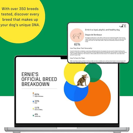 DNA MY DOG - Dog DNA Test Kit | 350+ Breeds Identified | 99%+ Accuracy | Allergy Risk Score | Personality & Behavior Insights | Results in 2-3 Weeks |