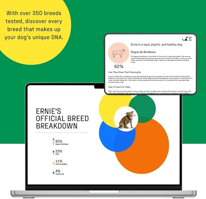 DNA MY DOG - Dog DNA Test Kit | 350+ Breeds Identified | 99%+ Accuracy | Allergy Risk Score | Personality & Behavior Insights | Results in 2-3 Weeks |