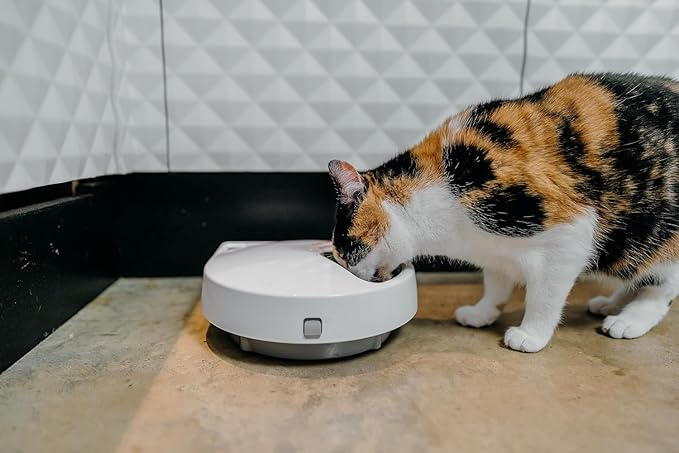 Cat Mate C500 Automatic 5-Bowl Pet Feeder with Digital Timer for Wet and Dry Pet Food, for Cats and Small Dogs, 5 Meals up to 330g Each, with Twin Ice Packs for Food Freshness – White