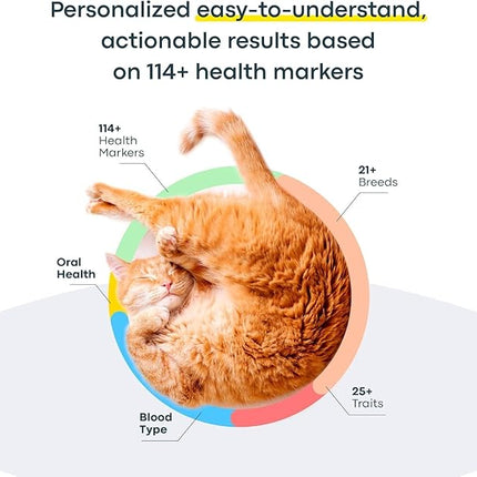 Basepaws Cat DNA Test Kit - Comprehensive Breed, Health and Dental Analysis Across 114 Traits for Accurate and Easy-to-Use Genetic Insights