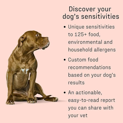 DNA MY DOG Vet-Recommended and Most Accurate Allergy Test for Itchy, Sensitive Dogs