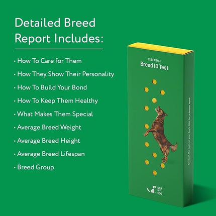 DNA MY DOG - Dog DNA Test Kit | 350+ Breeds Identified | 99%+ Accuracy | Allergy Risk Score | Personality & Behavior Insights | Results in 2-3 Weeks |