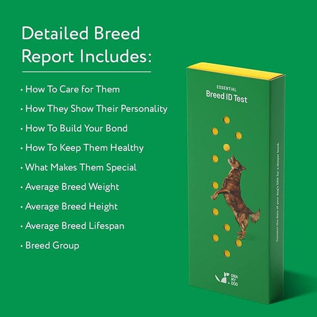 DNA MY DOG - Dog DNA Test Kit | 350+ Breeds Identified | 99%+ Accuracy | Allergy Risk Score | Personality & Behavior Insights | Results in 2-3 Weeks |