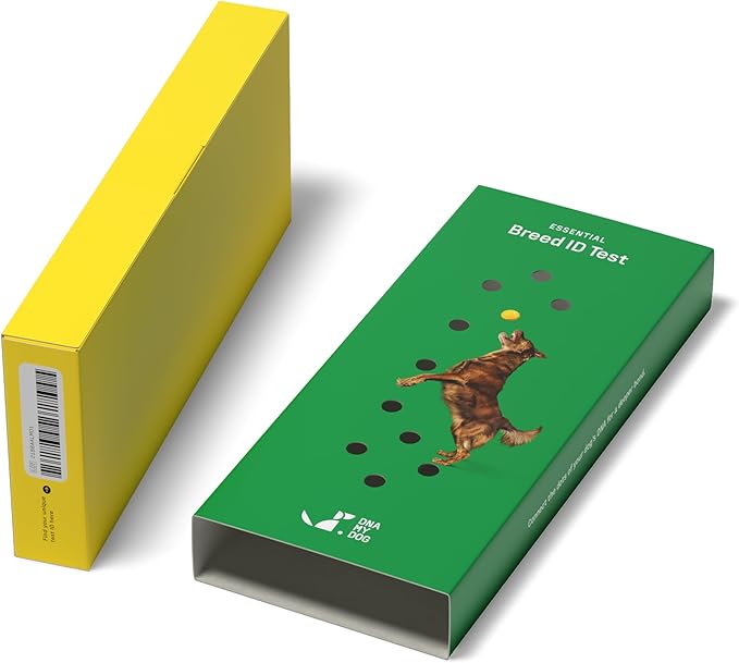 DNA MY DOG - Dog DNA Test Kit | 350+ Breeds Identified | 99%+ Accuracy | Allergy Risk Score | Personality & Behavior Insights | Results in 2-3 Weeks |