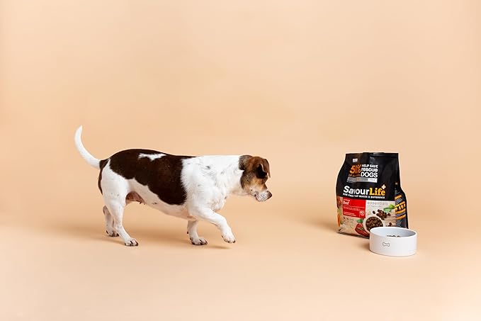SavourLife Essentials Dog Food, Australian Beef Veggies & Rice, 3kg