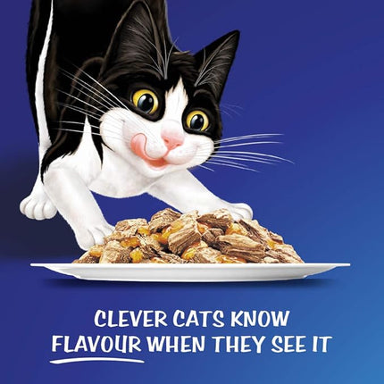 FELIX Sensations Wet Cat Food Fish Selection Jellies 60x85g