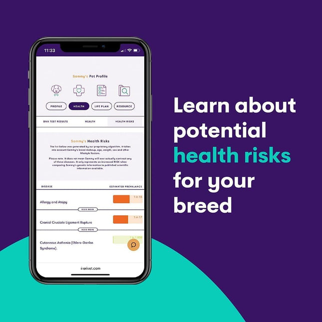 ORIVET GenoPet Plus Dog DNA Test Kit | 365+ Breed Identification & 330+ Genetic Health Conditions Included | Personalized Life Plan | At-Home Cheek Swab | Results in Approximately 3–5 Weeks