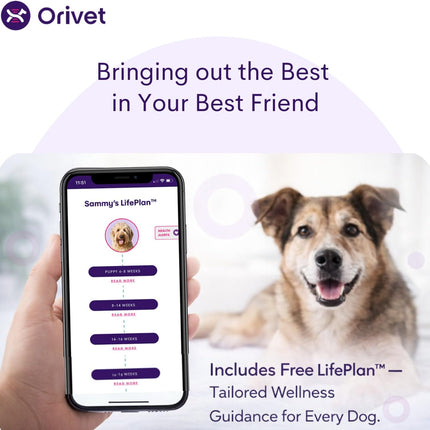 ORIVET GenoPet Plus Dog DNA Test Kit | 365+ Breed Identification & 330+ Genetic Health Conditions Included | Personalized Life Plan | At-Home Cheek Swab | Results in Approximately 3–5 Weeks