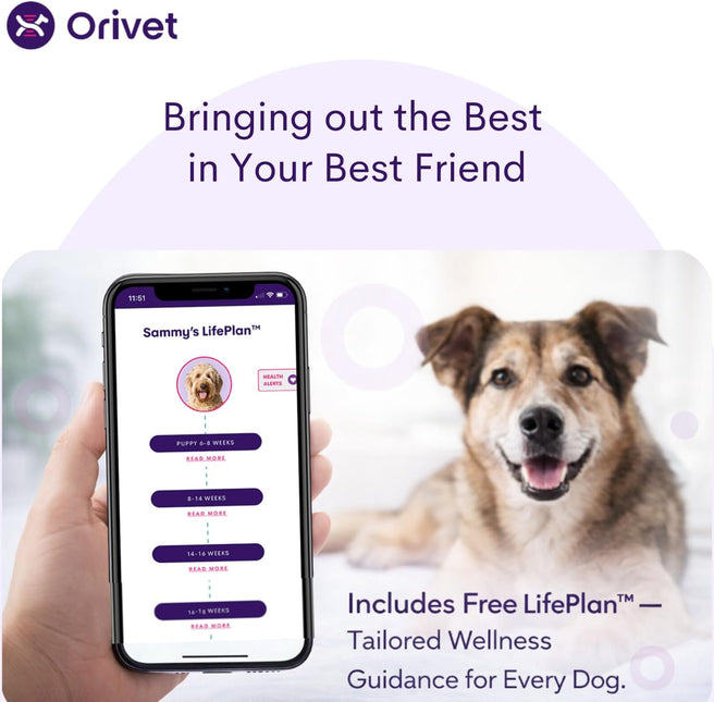 ORIVET GenoPet Plus Dog DNA Test Kit | 365+ Breed Identification & 330+ Genetic Health Conditions Included | Personalized Life Plan | At-Home Cheek Swab | Results in Approximately 3–5 Weeks