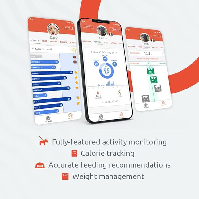 PitPat Dog Activity and Fitness Monitor (No GPS) - No Recharging or Subscription Required - Suitable for All Dogs and Fits All Collars - Smart Activity Tracker - 100% Waterproof Dog Fitness Tracker