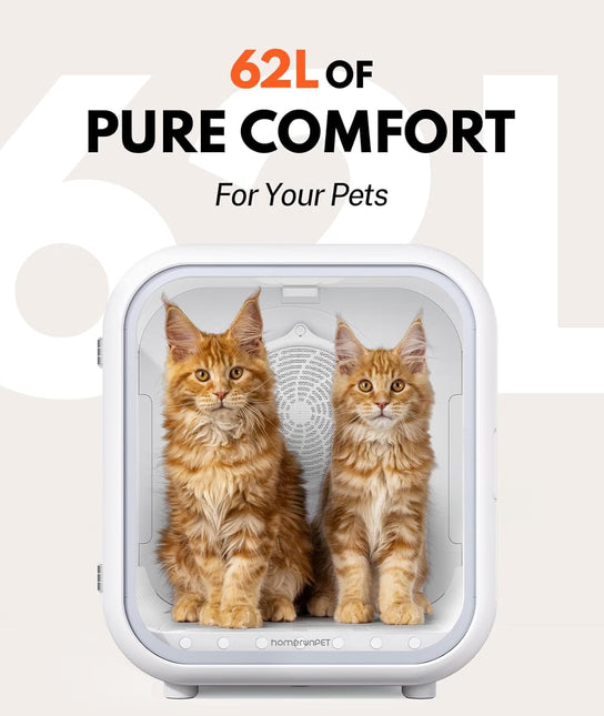 62L Cat Dryer Box Pet Dryer, 360° Efficient Automatic (white)