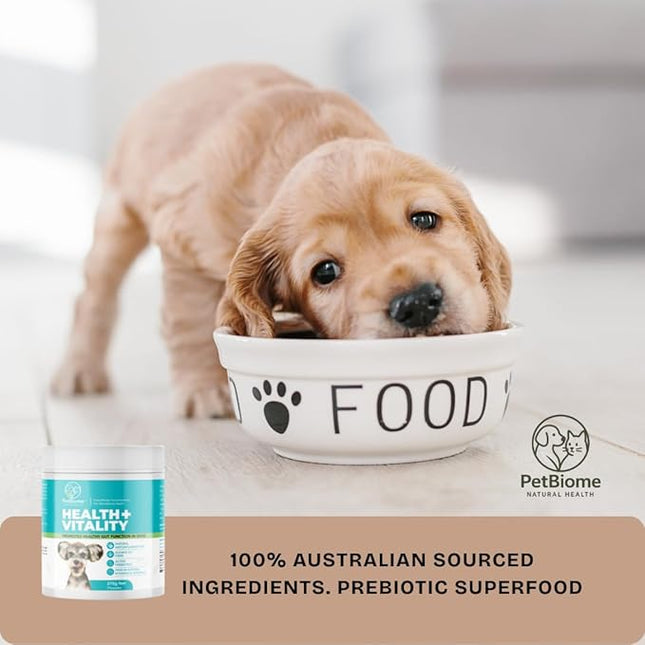 Health + Vitality for Dogs 3 Month Supply Promotes a Healthy Gut microbiome