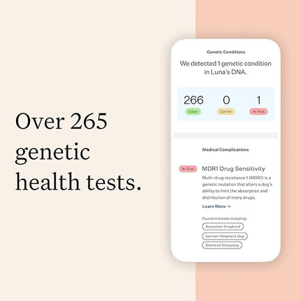 Wisdom Panel Premium Dog DNA Testing Kit - Most Comprehensive Test - 265+ Health Tests, 430+ Dog Breeds, 50+ Traits, Relatives, Ancestry, 1 Pack