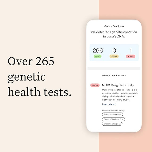 Wisdom Panel Premium Dog DNA Testing Kit - Most Comprehensive Test - 265+ Health Tests, 430+ Dog Breeds, 50+ Traits, Relatives, Ancestry, 1 Pack