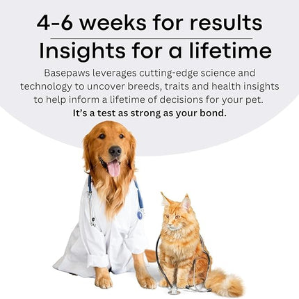 Basepaws Cat DNA Test Kit - Comprehensive Breed, Health and Dental Analysis Across 114 Traits for Accurate and Easy-to-Use Genetic Insights