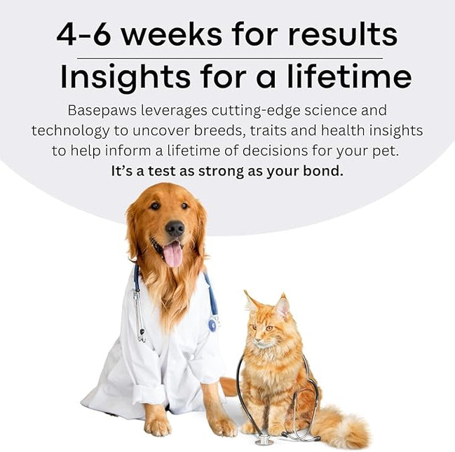 Basepaws Cat DNA Test Kit - Comprehensive Breed, Health and Dental Analysis Across 114 Traits for Accurate and Easy-to-Use Genetic Insights