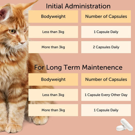 FELIWAY Cystease Advanced Urinary Tract Support for Cats (Pot Size: 30 Tablets)