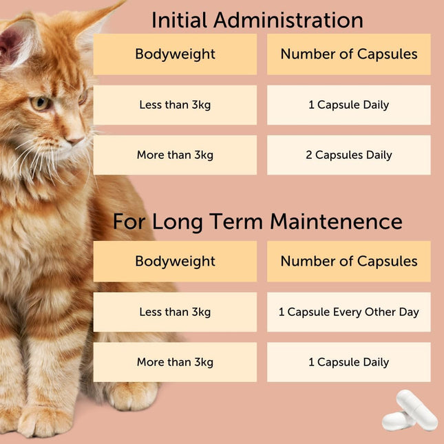 FELIWAY Cystease Advanced Urinary Tract Support for Cats (Pot Size: 30 Tablets)