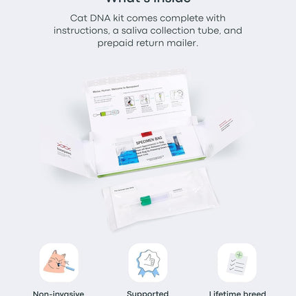 Basepaws Cat DNA Test Kit - Comprehensive Breed, Health and Dental Analysis Across 114 Traits for Accurate and Easy-to-Use Genetic Insights