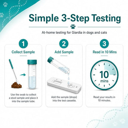 1Test Fast Giardia Test Kit for Dogs and Cats - for Home
