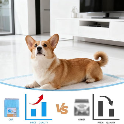 Fandcy Large Dog Pee Pads 200-Count, 60x60cm Thicken Disposable Dog Training Pads,(2pack-200count)