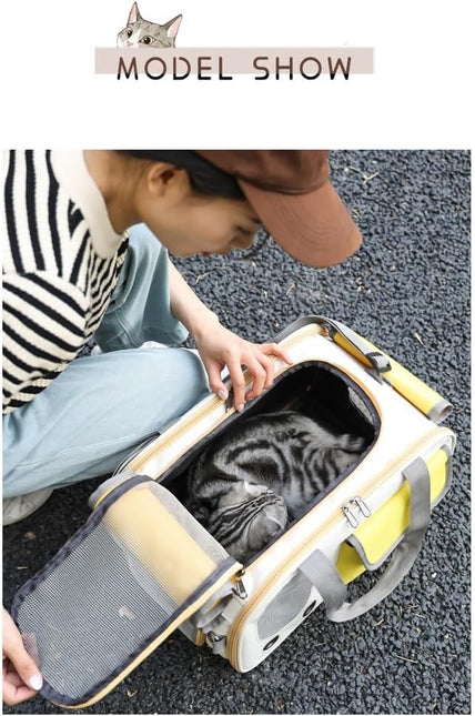 Collapsible Airline Approved Pet Carrier for Cats & Dogs up to 17 lbs