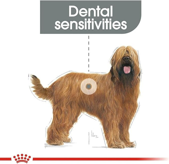 Royal Canin Dental Care Maxi Adult Dry Dog Food 9 Kg