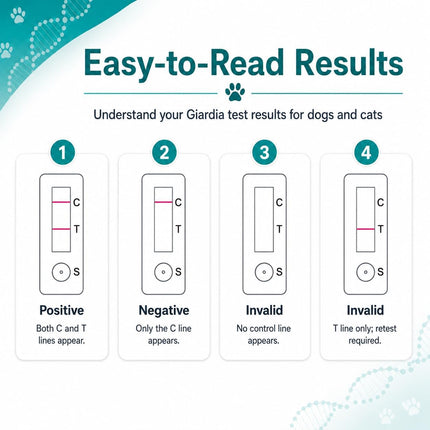 1Test Fast Giardia Test Kit for Dogs and Cats - for Home