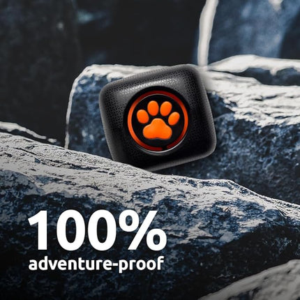 PitPat Dog Activity and Fitness Monitor (No GPS) - No Recharging or Subscription Required - Suitable for All Dogs and Fits All Collars - Smart Activity Tracker - 100% Waterproof Dog Fitness Tracker