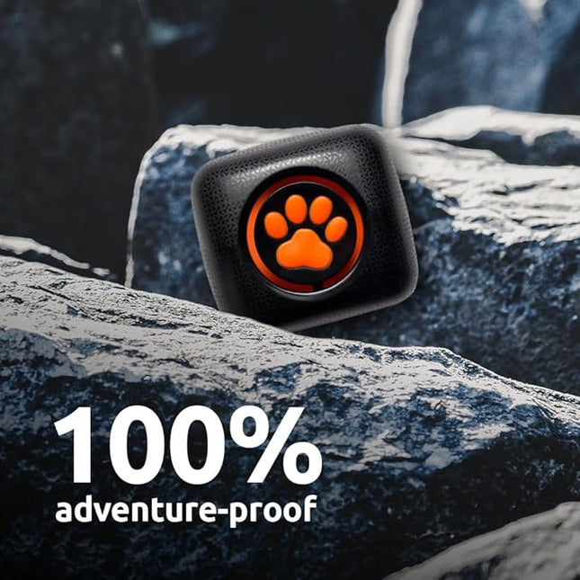 PitPat Dog Activity and Fitness Monitor (No GPS) - No Recharging or Subscription Required - Suitable for All Dogs and Fits All Collars - Smart Activity Tracker - 100% Waterproof Dog Fitness Tracker