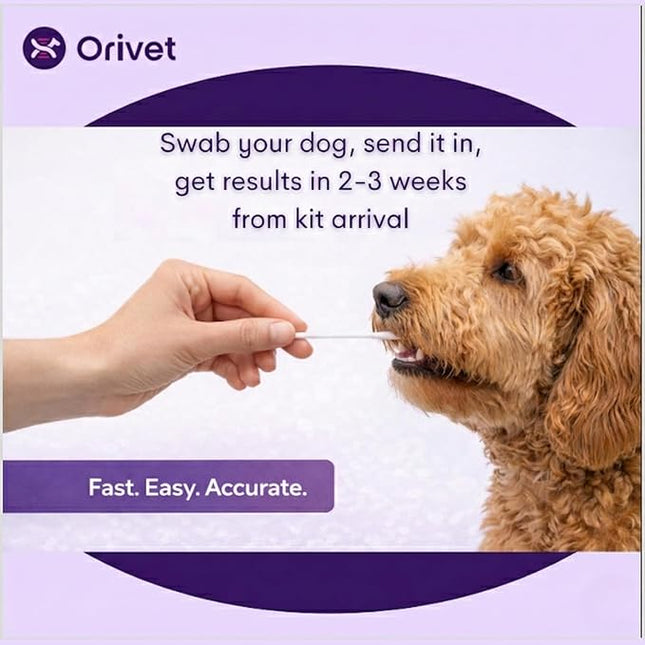 ORIVET GenoPet Plus Dog DNA Test Kit | 365+ Breed Identification & 330+ Genetic Health Conditions Included | Personalized Life Plan | At-Home Cheek Swab | Results in Approximately 3–5 Weeks