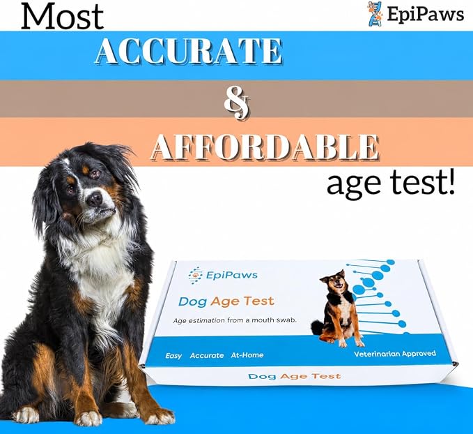 Dog Age Test - Includes Wellness Insights for Your Pet’s Life Stage - At Home Epigenetic Biomarker Testing Kit, Great for Rescued Pets