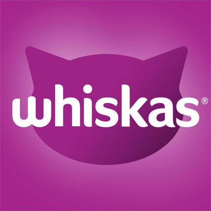 WHISKAS 1+ Years Adult Dry Cat Food Chicken & Turkey 1.8kg Bag, 4 Pack