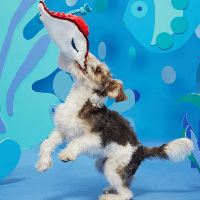 Barkbox Sting Crosby The Ray (BoBB) Dog Squeak Chew Toy