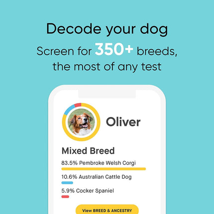 Embark Dog DNA Test Kit | Breed & Genetic Ancestry Discovery | at-Home Cheek Swab -Mixed Breed and Purebred Dog DNA Test