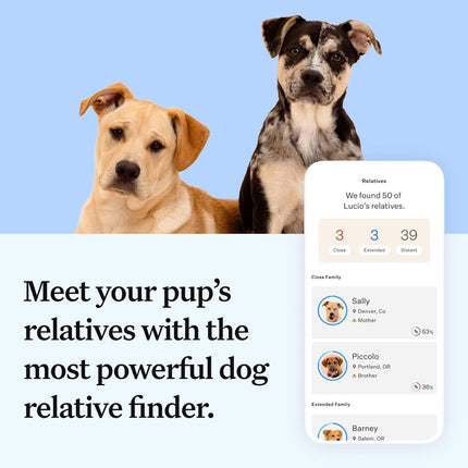 Wisdom Panel Essential Dog DNA Kit: Most Accurate Test for 365+ Breeds, 30 Genetic Health Conditions, 50+ Traits, Relatives, Ancestry