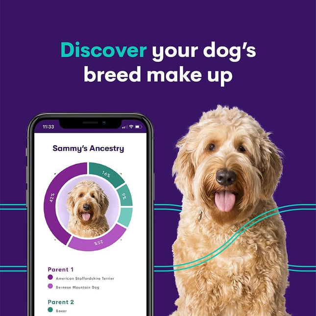 ORIVET GenoPet Plus Dog DNA Test Kit | 365+ Breed Identification & 330+ Genetic Health Conditions Included | Personalized Life Plan | At-Home Cheek Swab | Results in Approximately 3–5 Weeks