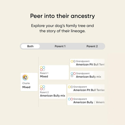 Embark Breed & Health Dog DNA Test - 400+ Breeds, 270+ Health Conditions, Allergy Risk Score, Relatives, and More